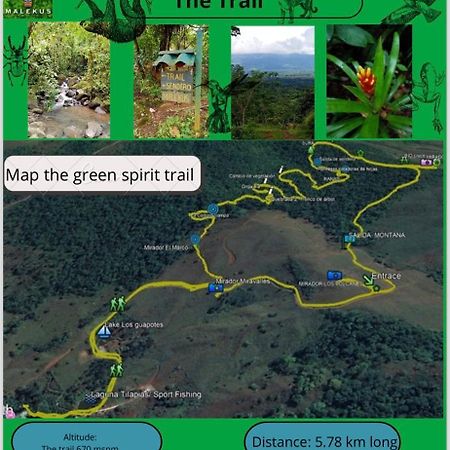 Malekus Mountain Lodge Aguas Claras  المظهر الخارجي الصورة